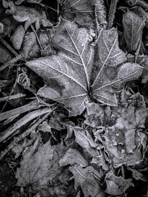 2026-01-22-10-07-01-NIKON-D800