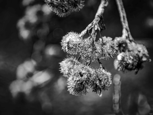 2026-01-26-10-50-08-NIKON-D700