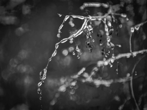 2026-01-26-10-50-22-NIKON-D700