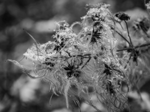 2026-01-30-09-44-34-NIKON-D90