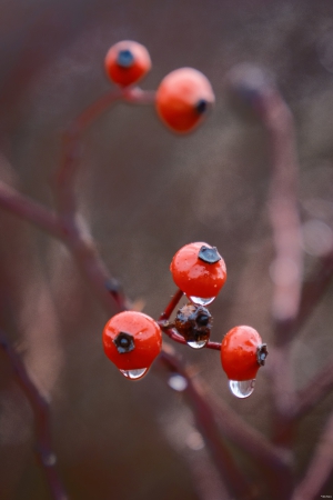 2026-02-13-14-38-17-X-H2