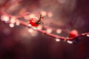 2026-02-13-14-38-50-X-H2