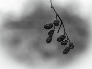 2026-02-13-14-40-19-X-H2