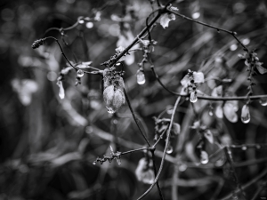 2026-02-13-14-42-09-X-H2