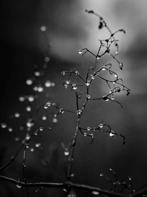 2026-02-13-14-43-11-X-H2