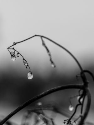 2026-02-14-08-51-10-X-H2