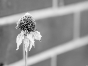 2026-02-14-09-06-07-X-H2