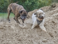 800_2406