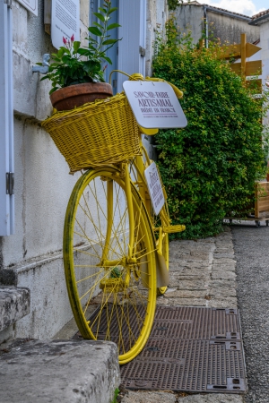 2026-07-31-14-20-35-NIKON-Z-8