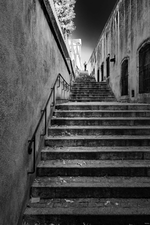 2026-08-07-17-53-05-NIKON-Z-8
