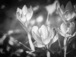 2026-03-12-11-41-07-NIKON-Z-7