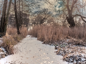 2026-02-03-14-33-44-GFX100S-II