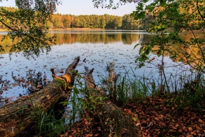 Kleiner Lienewitzsee