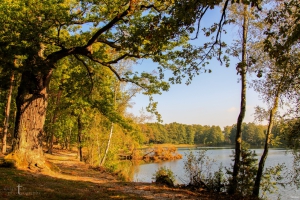 Kleiner Lienewitzsee
