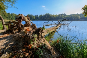 Kleiner Lienewitzsee