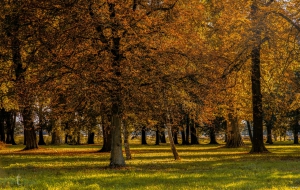 Paretzer Park