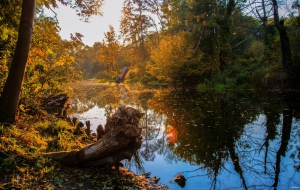 Die Havel bei Oranienburg