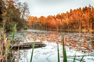 Herzberger See