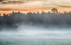 Morgennebel
