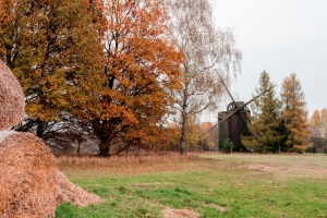 Die alte Mühle