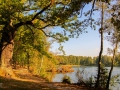 Kleiner Lienewitzsee
