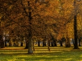 Paretzer Park