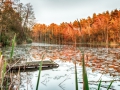Herzberger See