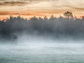 Morgennebel