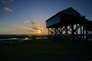 Nikon Z 8, f/13 - 1/80s 24mm