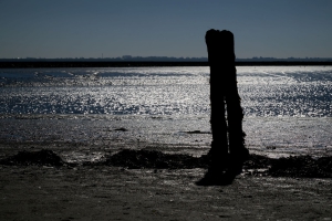 Nikon Z 8, f/22 - 1/640s 120mm