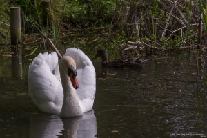 Im Schlosspark Wiesenburg