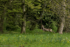 Im Schlosspark Wiesenburg