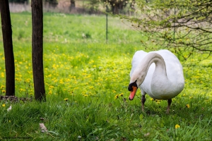 Im Schlosspark Wiesenburg
