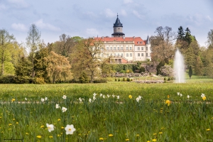 Im Schlosspark Wiesenburg