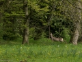 Im Schlosspark Wiesenburg