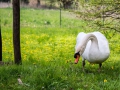 Im Schlosspark Wiesenburg