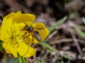 Nikon D700 f/6.3 1/200s ISO-200 105mm