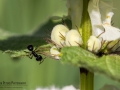 Nikon D7200 f/8 1/320s ISO-100 105mm