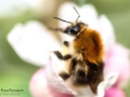 Nikon D7200 f/5 1/250s ISO-100 105mm