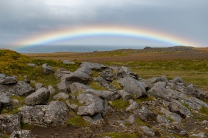 Regenbogen