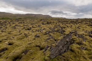 Lavafeld