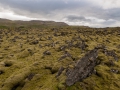Lavafeld