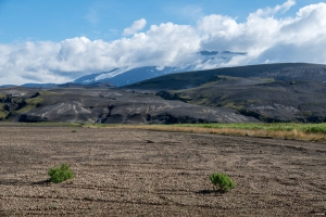 Hekla