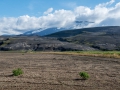 Hekla