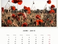 Juni