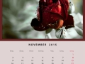 November