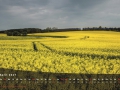 April
