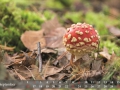 September