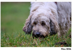 Kalender-Filou-2026_Seite_01