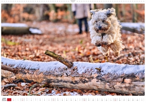 Kalender-Filou-2026_Seite_02